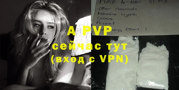 крисы Армянск