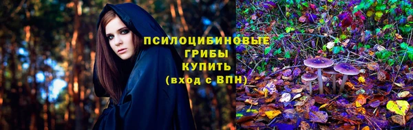 крисы Армянск
