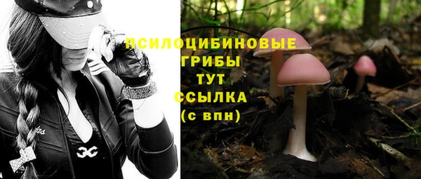 mix Аркадак