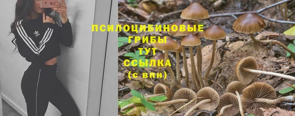 амфетамин Алексеевка